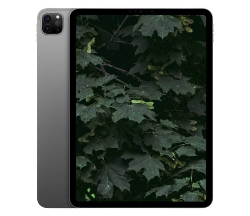 iPad Pro 11" 4. Gen (2022)