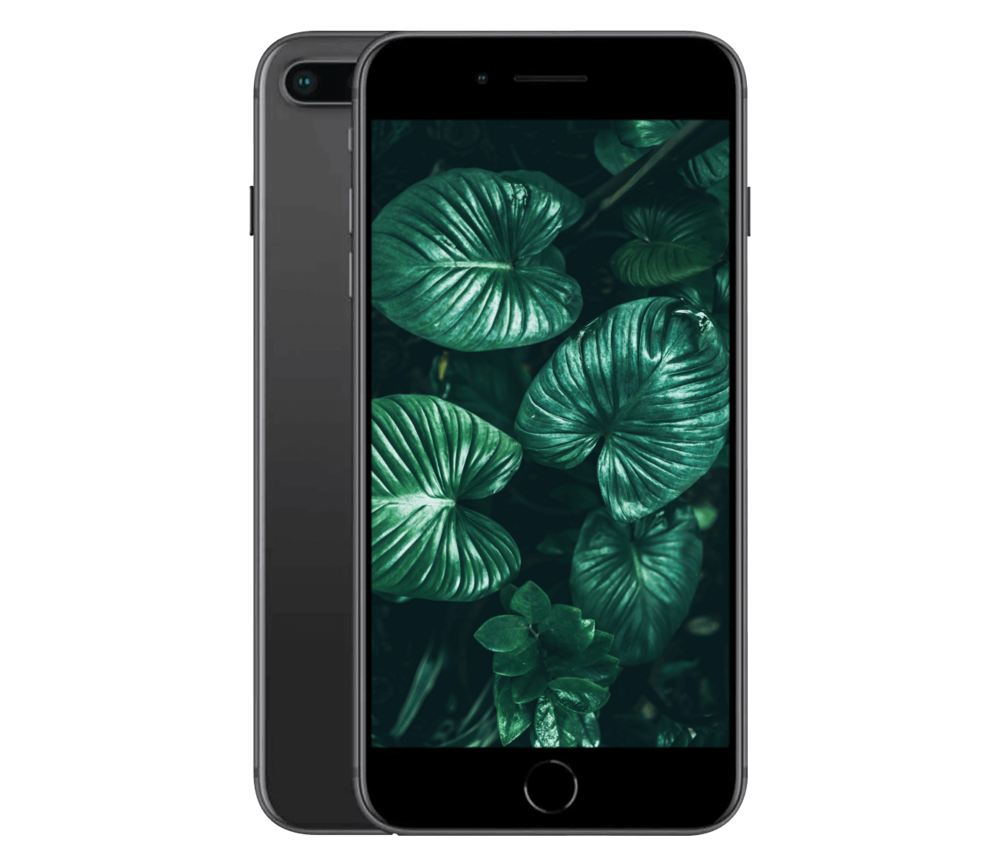 iPhone 8 Plus på udsalg
