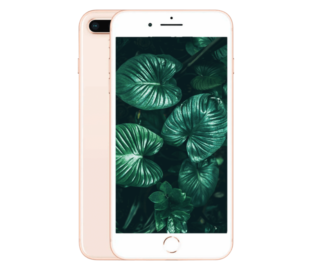 iPhone 8 Plus på udsalg