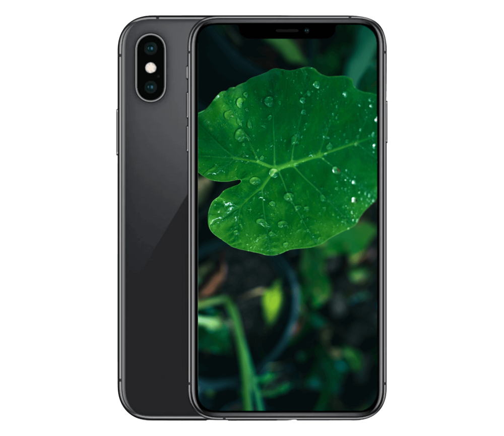 iPhone XS