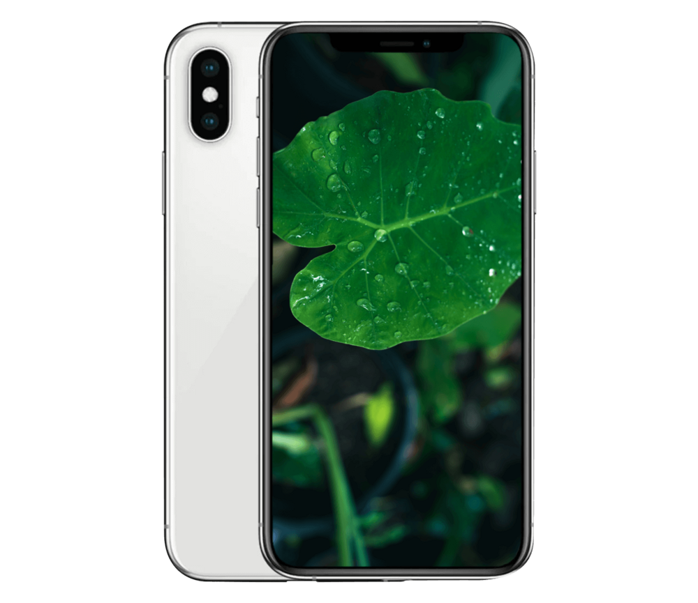 iPhone XS
