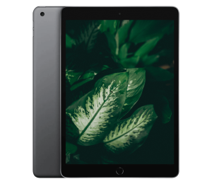 iPad 8 (2020) 10.2" WiFi