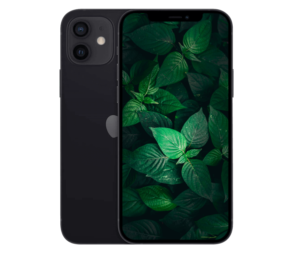 iPhone 12