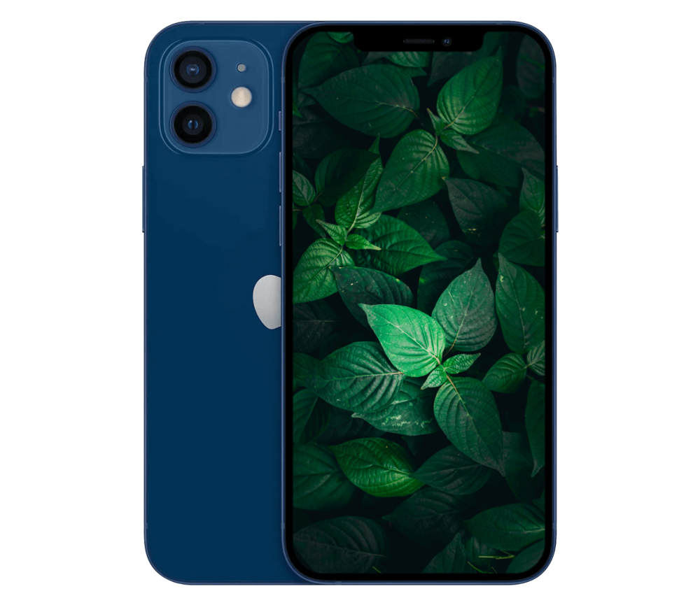 iPhone 12