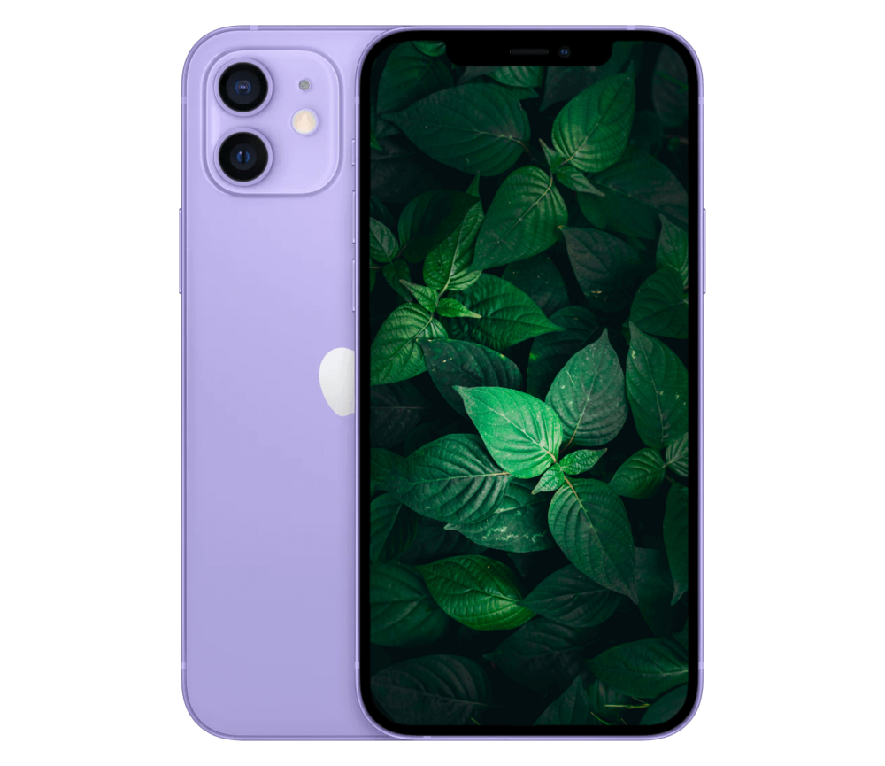 iPhone 12
