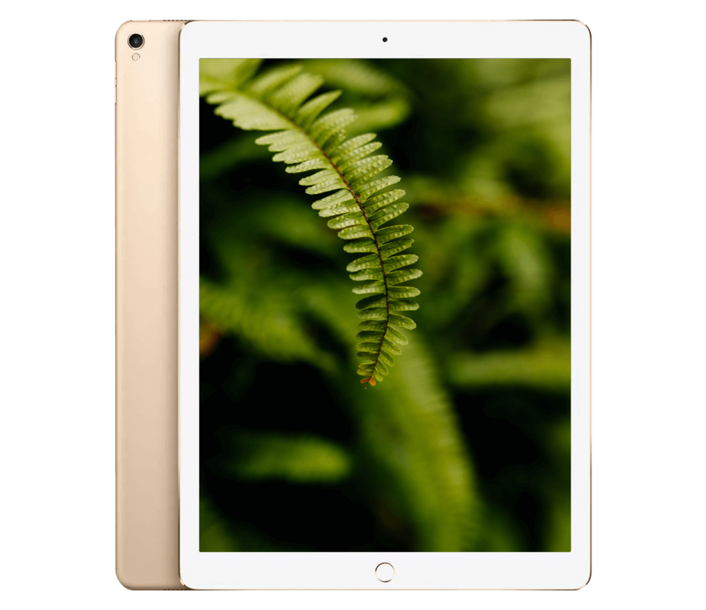 iPad Pro 2.Gen (2017) 12.9" WiFi