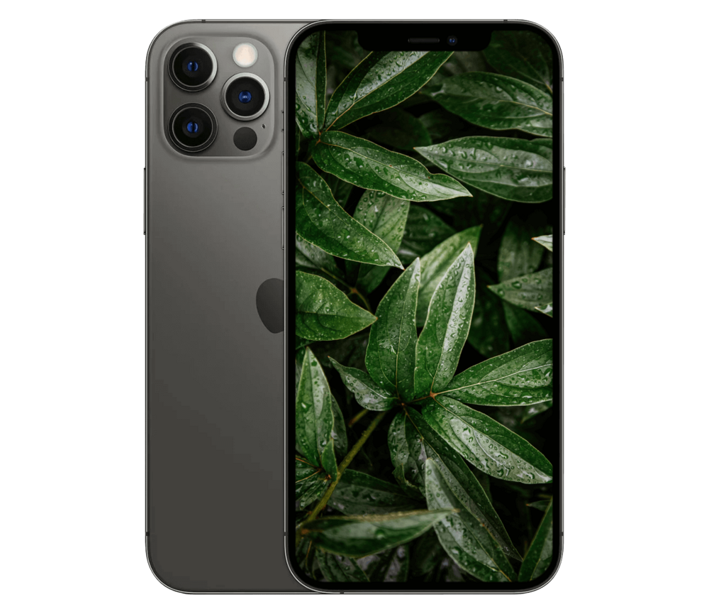 iPhone 12 Pro