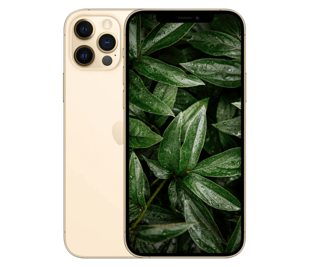 iPhone 12 Pro