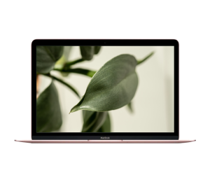 MacBook 12" 2017 1,1 Ghz 8/256GB Online