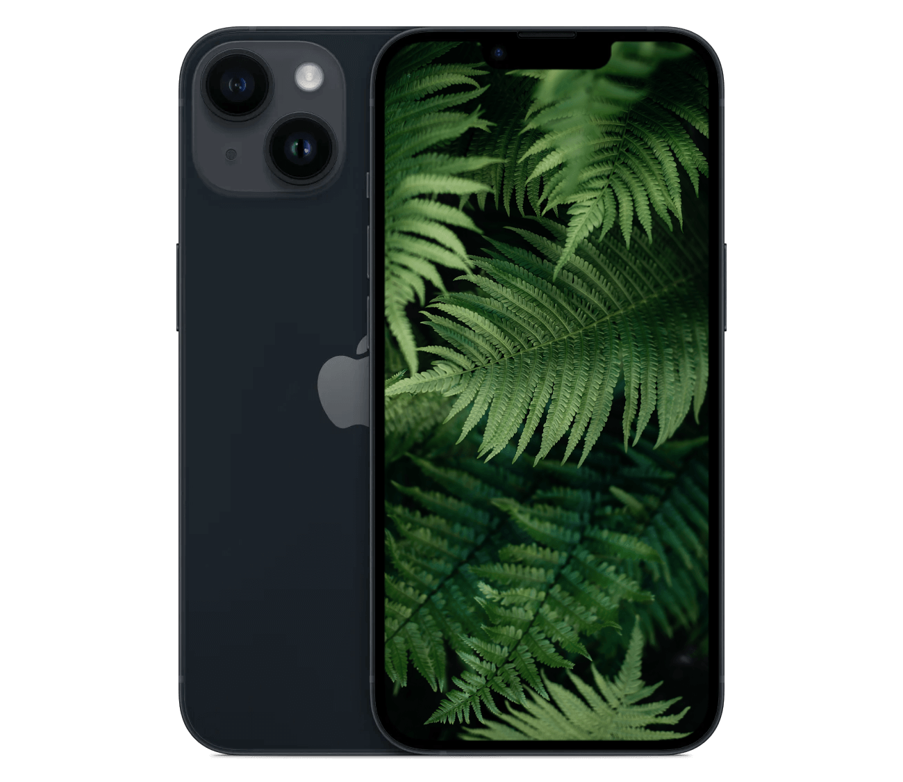 iPhone 14