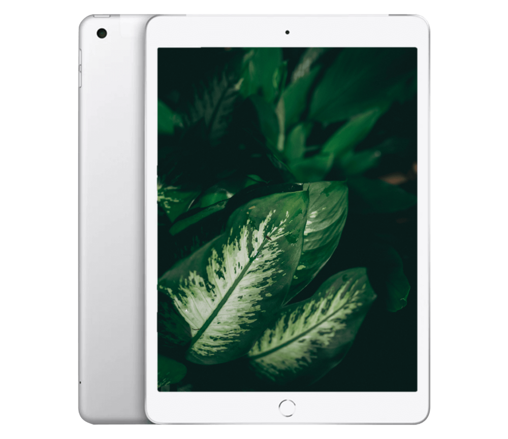 iPad 8 (2020) 10.2" WiFi / 4G
