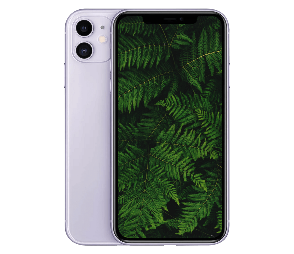 iPhone 11
