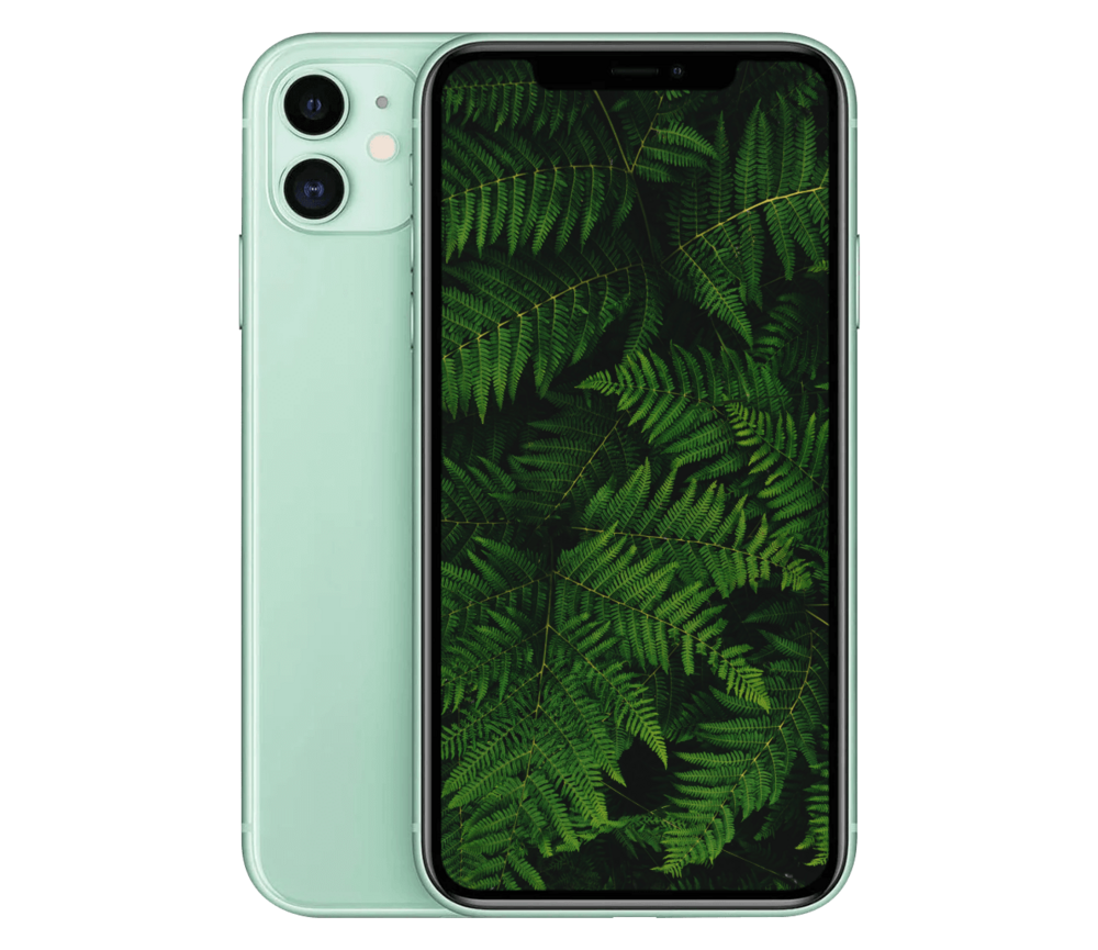 iPhone 11