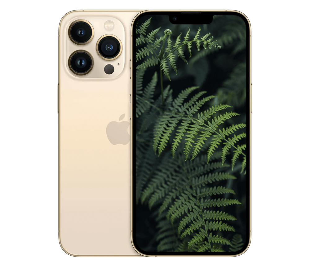 iPhone 13 Pro
