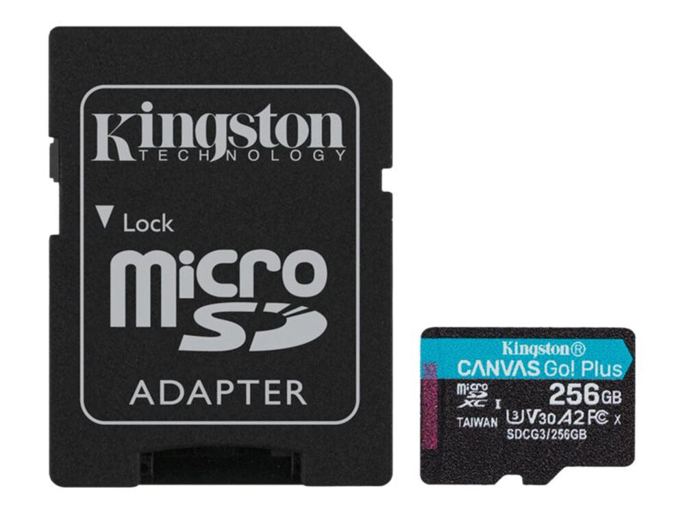 Kingston Canvas Go! Plus microSDXC, 256GB Online