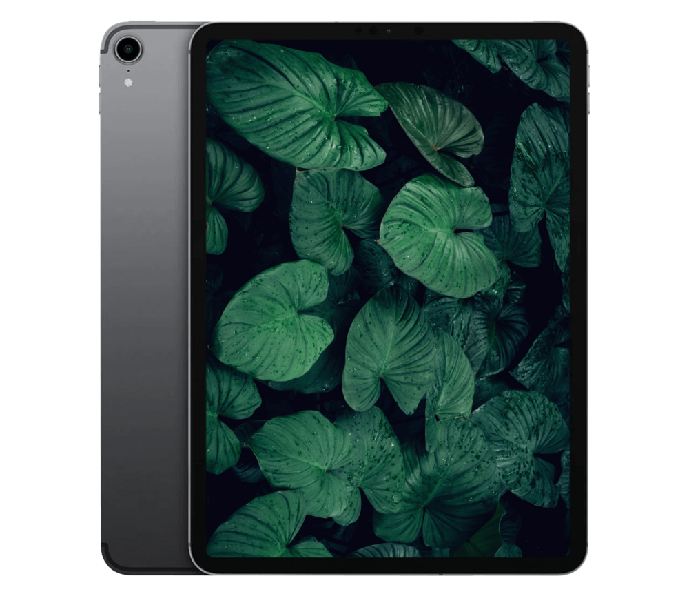iPad Pro 1. Gen (2018) 11" WiFi