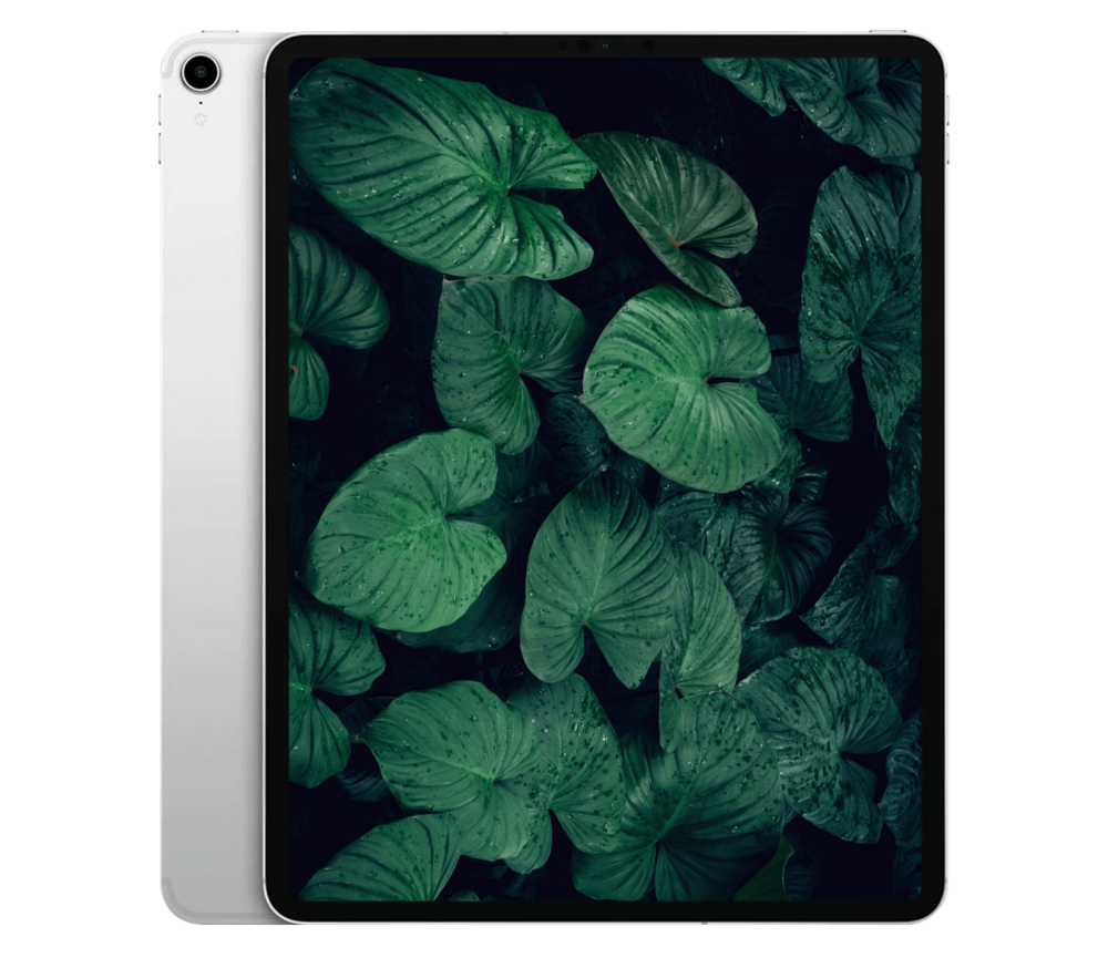 iPad Pro 1. Gen (2018) 11" WiFi
