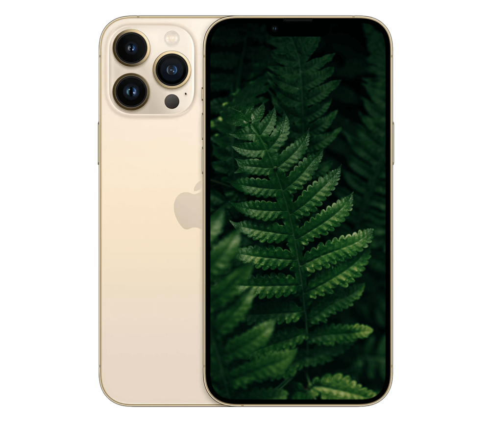 iPhone 13 Pro Max