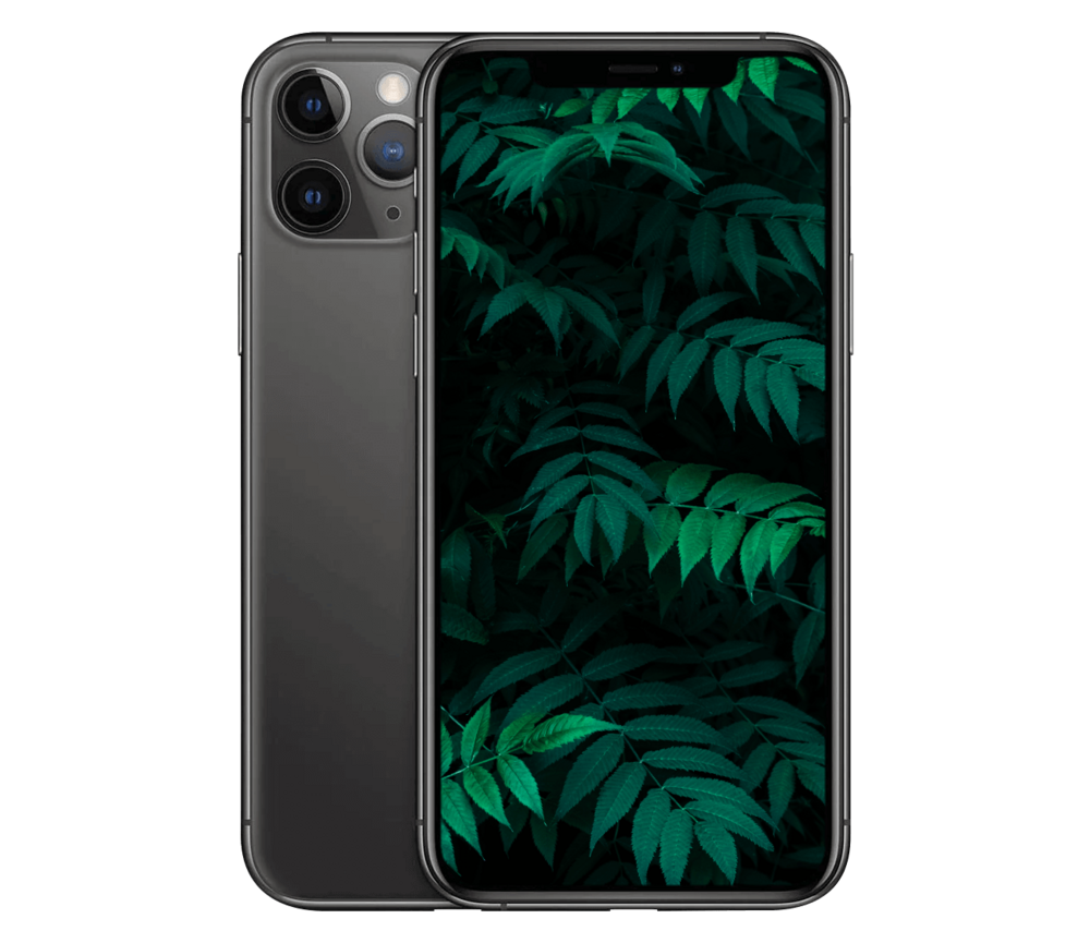 iPhone 11 Pro