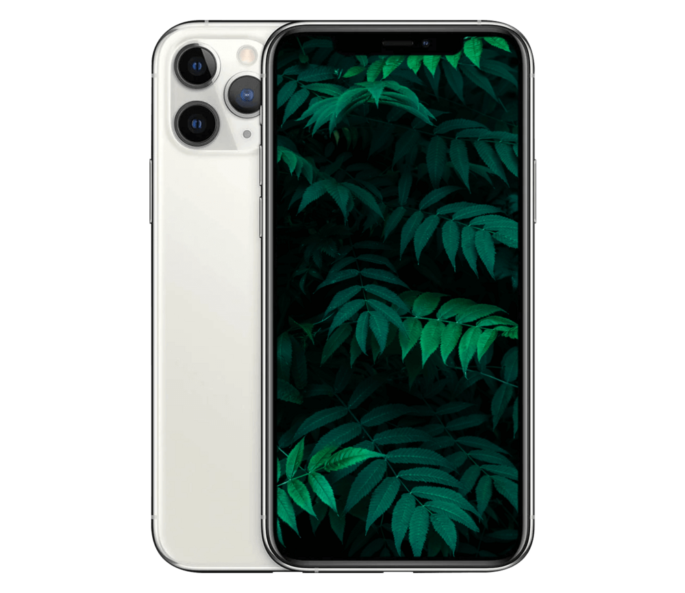 iPhone 11 Pro