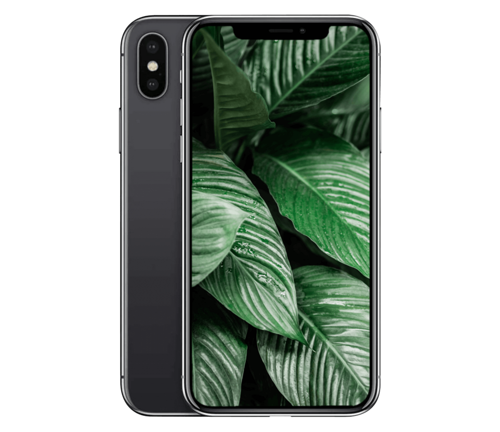 iPhone X