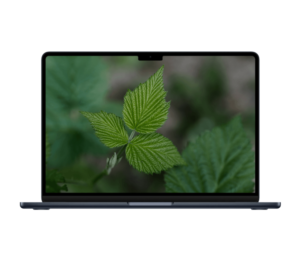 MacBook Air 13" (2022) M2, 8/256GB Online Hot Salg