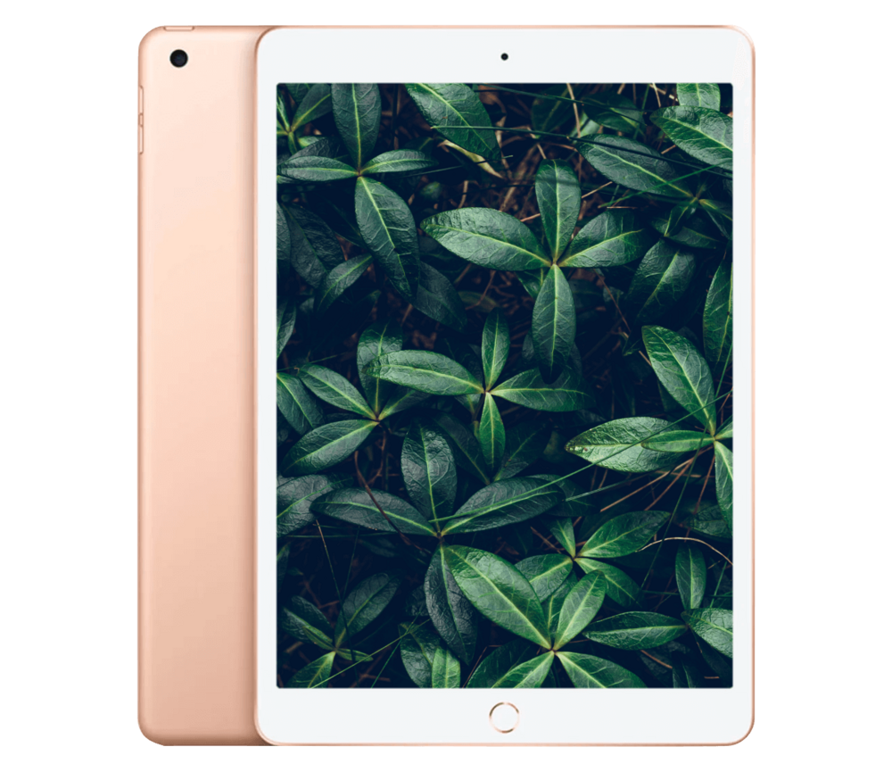 iPad 7 (2019) 10.2" WiFi