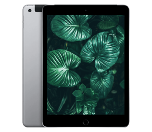 iPad 6 (2018) 9,7" WiFi / 4G Online