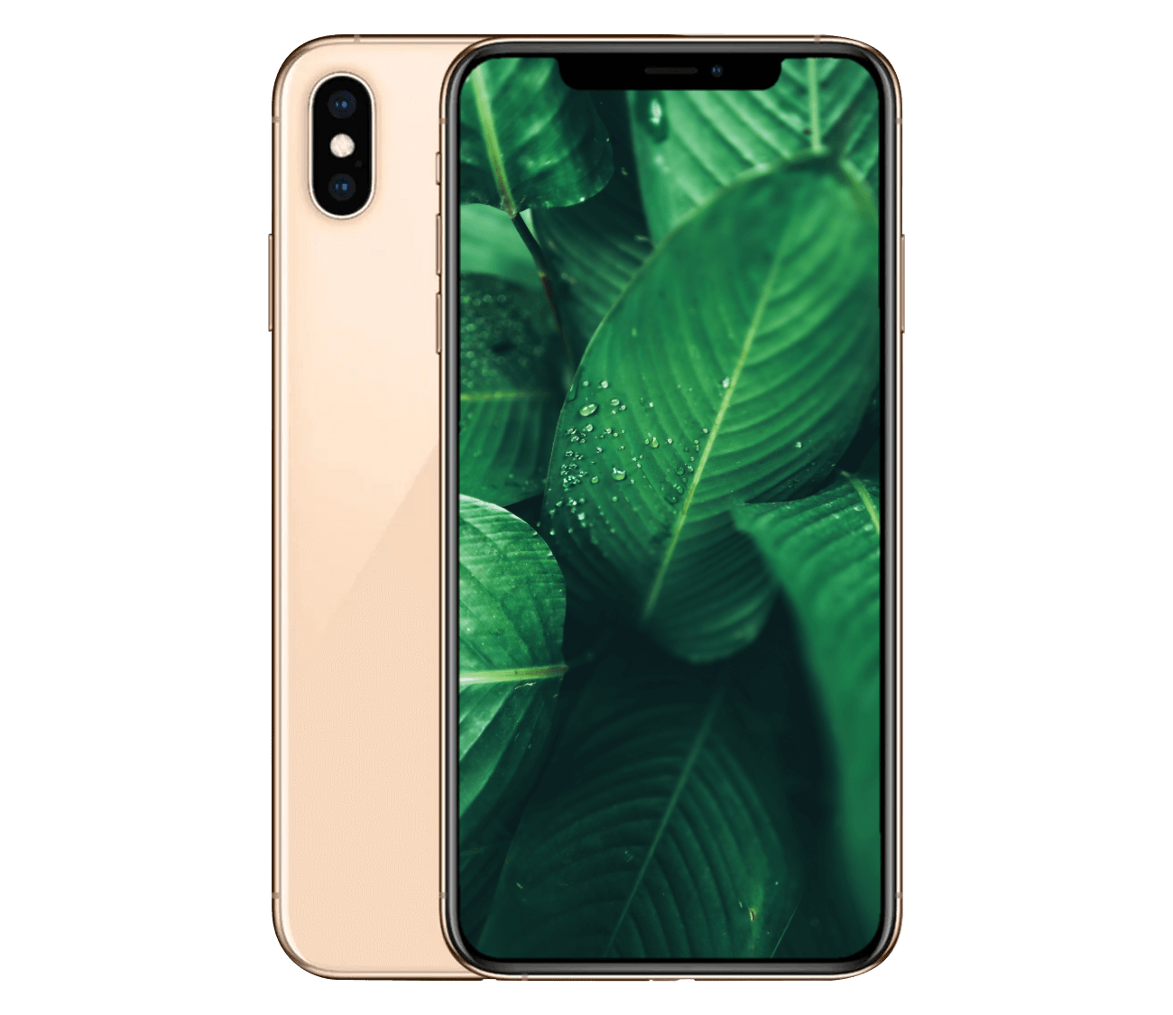 iPhone XS Max