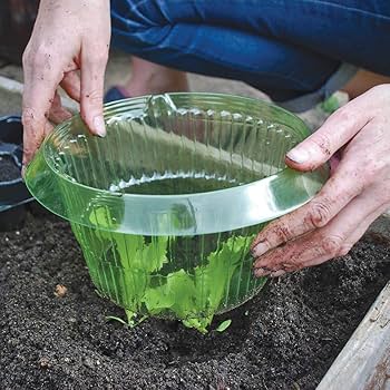 Genanvendelige Sneglekraver til Planter