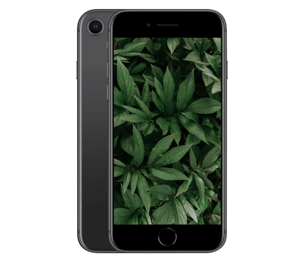 iPhone 8