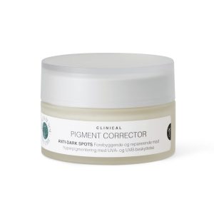 Above & Be You Pigment Corrector