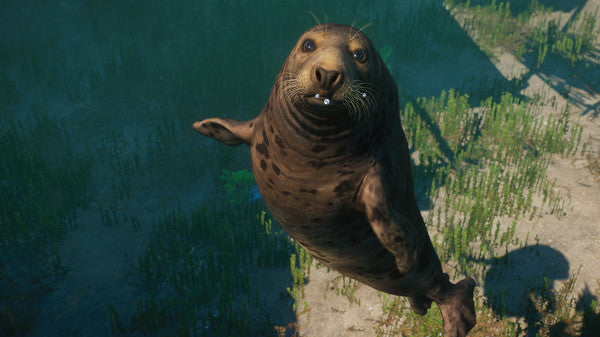 Planet Zoo - Aquatic Pack DLC