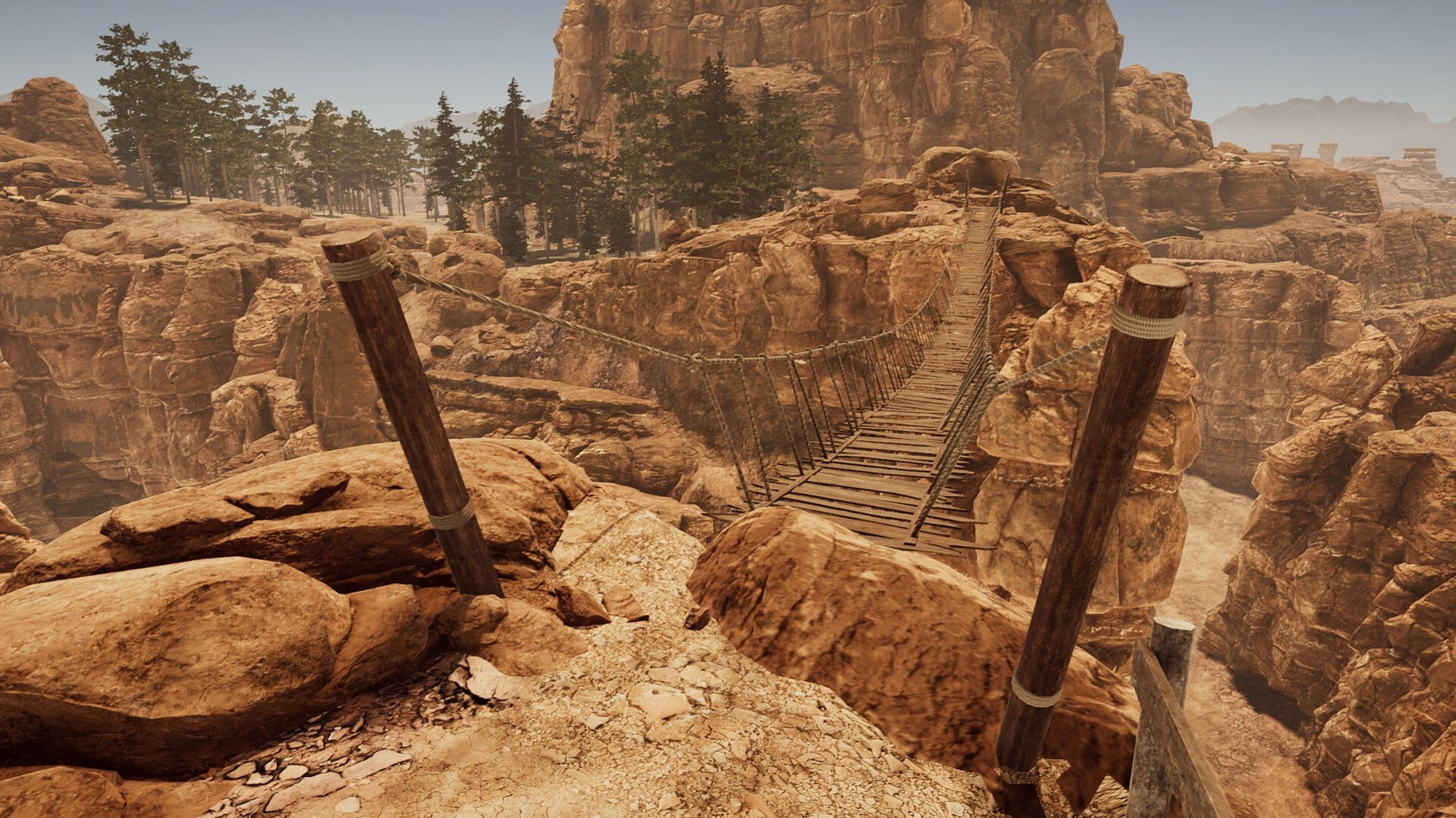 Wild West Dynasty PRE-ORDER