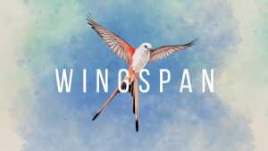 Wingspan Steam
