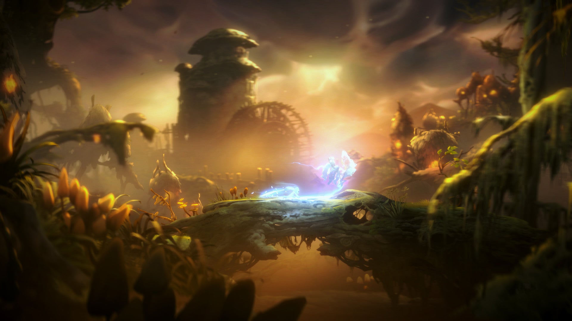 Ori and the Will of the Wisps XBOX One