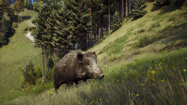 Way of the Hunter Online nu
