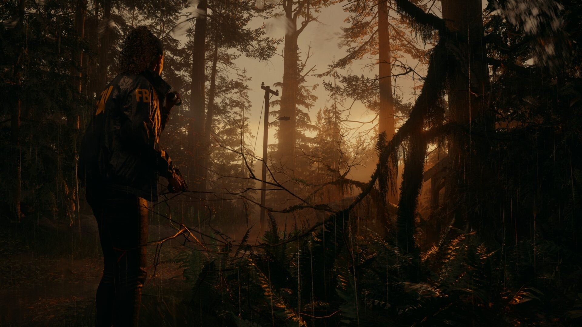 Alan Wake 2 Epic Games Green Gift Redemption Code på udsalg