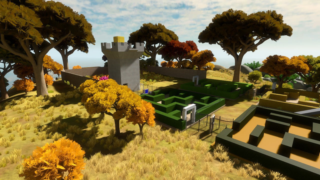 The Witness Steam